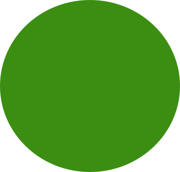 Circle - Green - Large